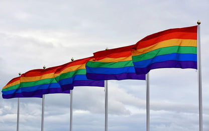 3x DELUXE RAINBOW GAY PRIDE FLAG Banner 150x90cm 3x5ft w Metal Eyelets BULK - Image 5