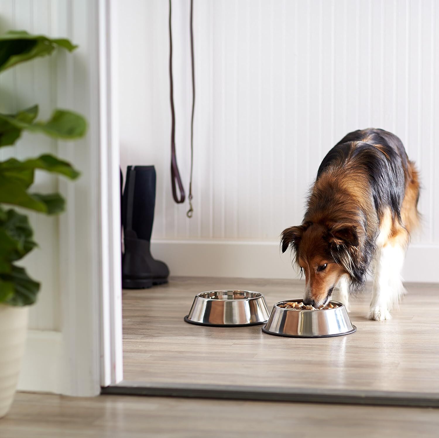 Non Slip Stainless Steel Dog Bowl Pet Cat Water Food Feeder Portable Puppy Dish - Large (500ml) - Image 3