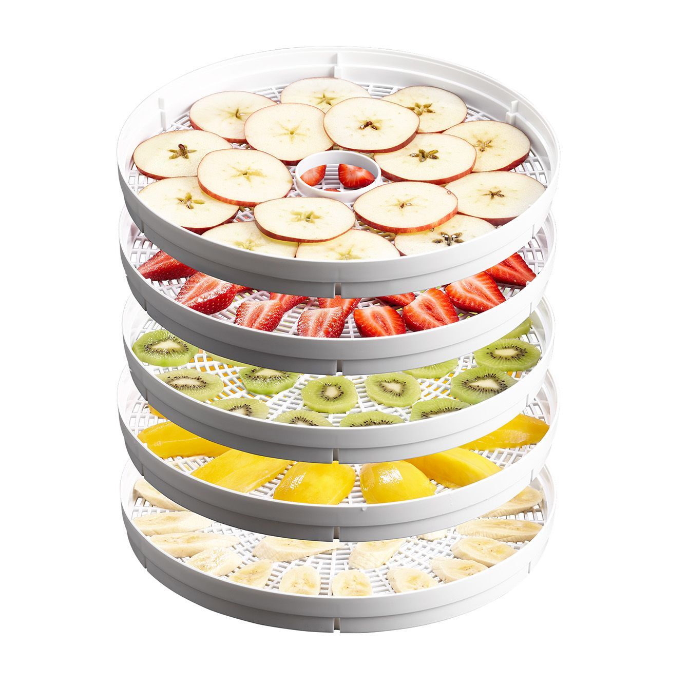 Sunbeam DT5600 Food Dehydrator 5 Stackable Drying Racks with Fruit Roll Tray - Image 5