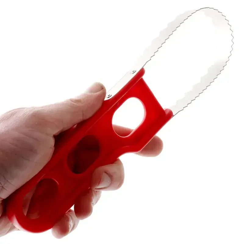 Ergonomic Premium Sturdy Fish Scaler Scaling Tool - Large (25cm Long) - Image 4
