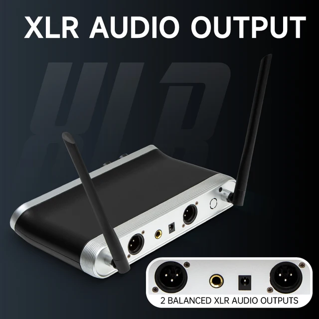 Hridz Wireless UHF Microphone Kit Dual Handheld Mics with 100m Range Receiver for Karaoke Meetings Parties - Image 5