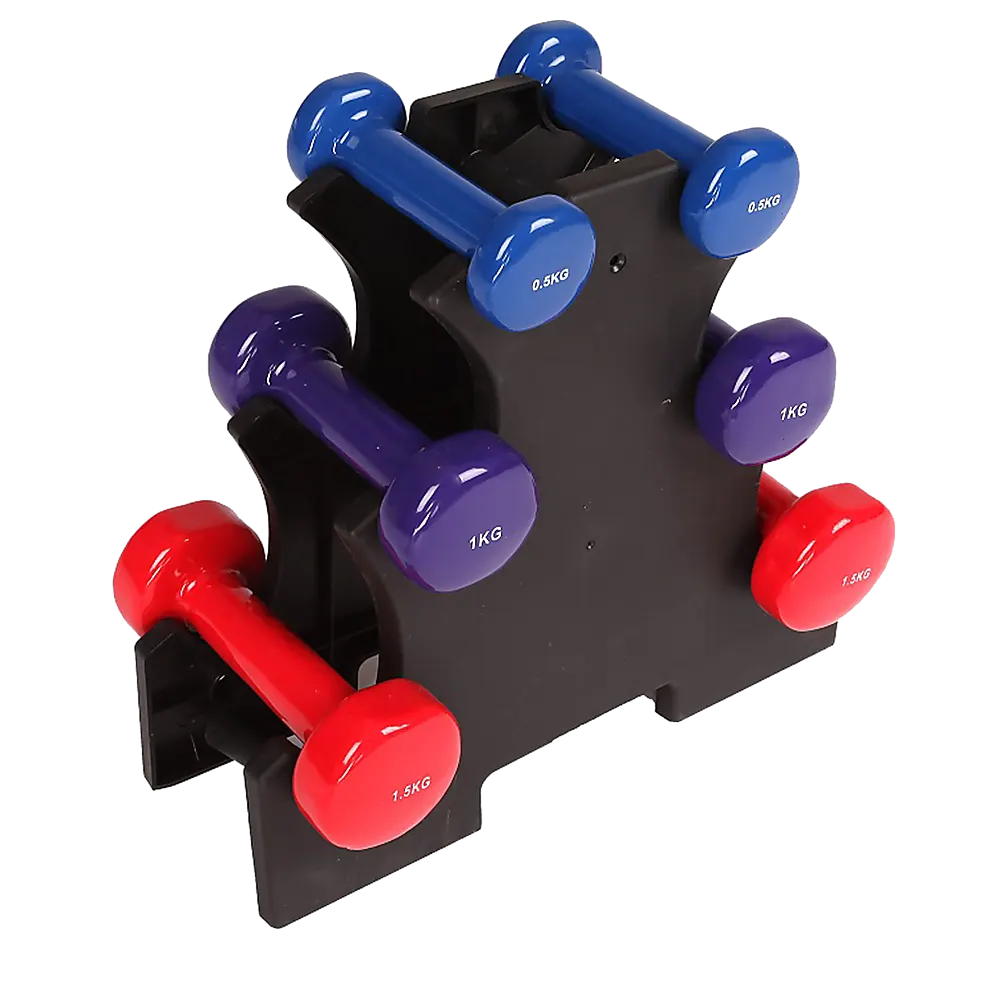6-Piece Dumbbell Set with Storage Rack for Home Gym Training