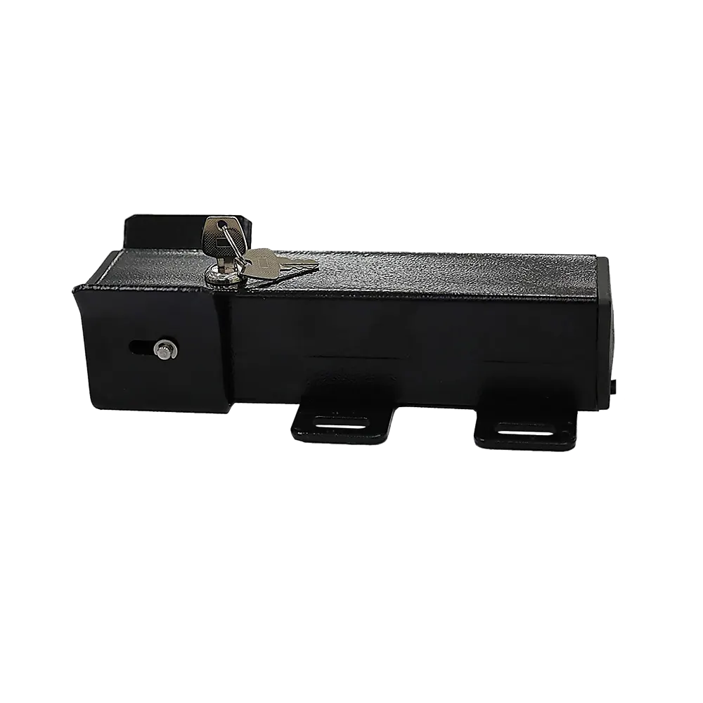 Electric Lock for Swing Gate - Image 5