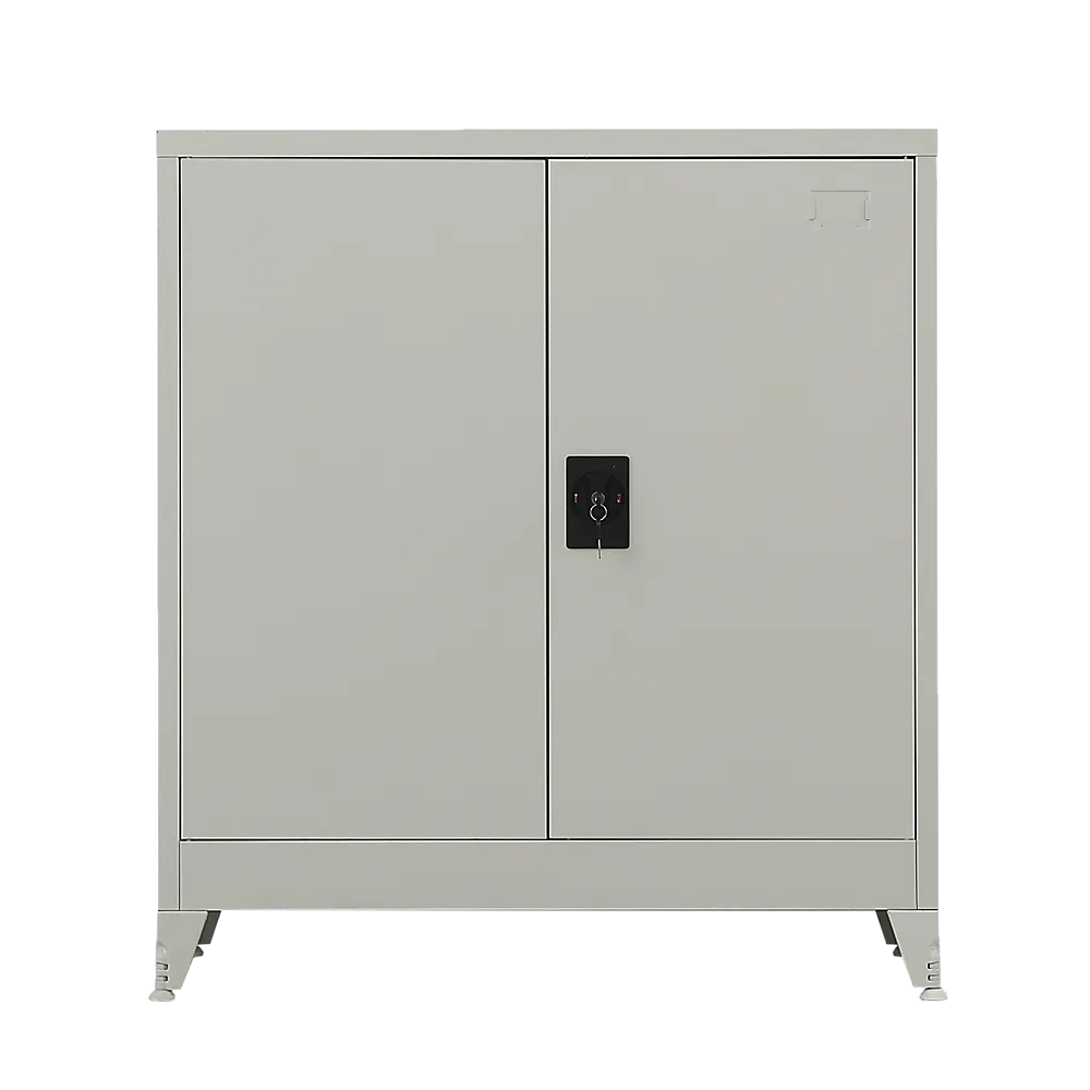 Two-Door Metal Short Cabinet Shelf Storage for Home Office Gym