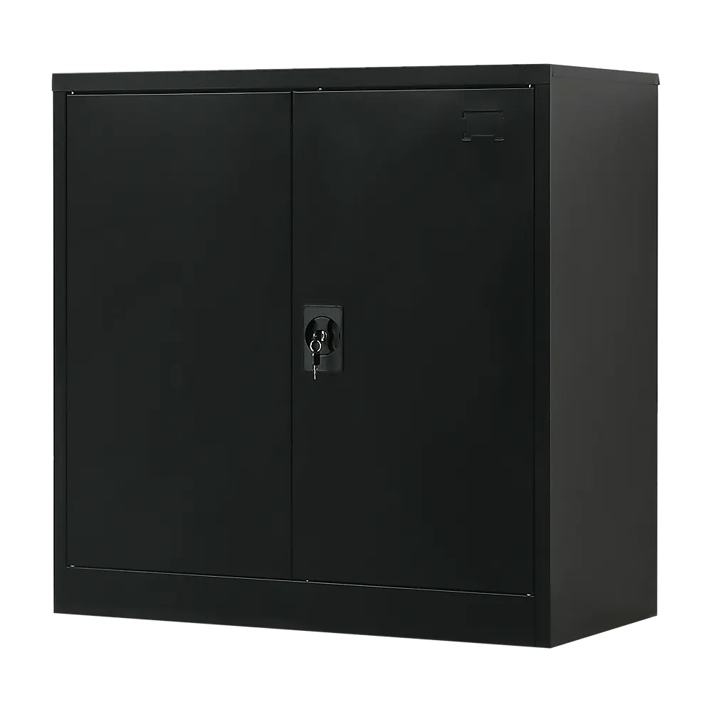 Two-Door Metal Short Cabinet Shelf Storage for Home Office Gym