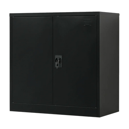 Two-Door Metal Short Cabinet Shelf Storage for Home Office Gym