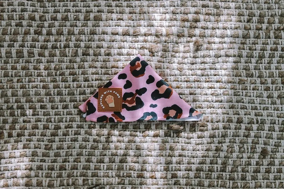 Designer Dog Bandana's  - Image 2