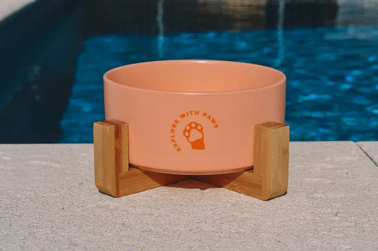 Pet Ceramic Bowl with Wooden Stand