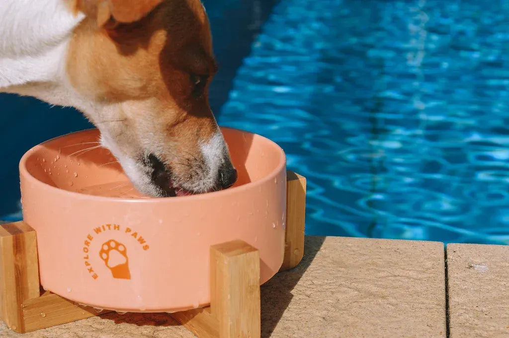 Pet Ceramic Bowl with Wooden Stand  - Image 2