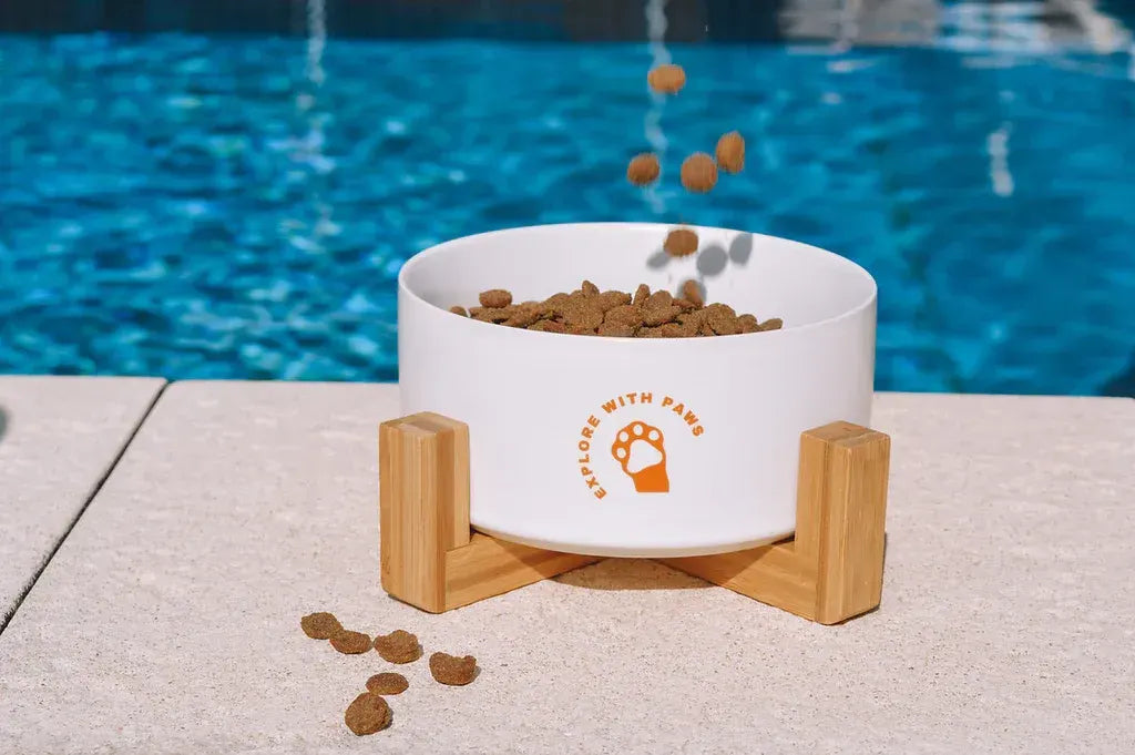 Pet Ceramic Bowl with Wooden Stand