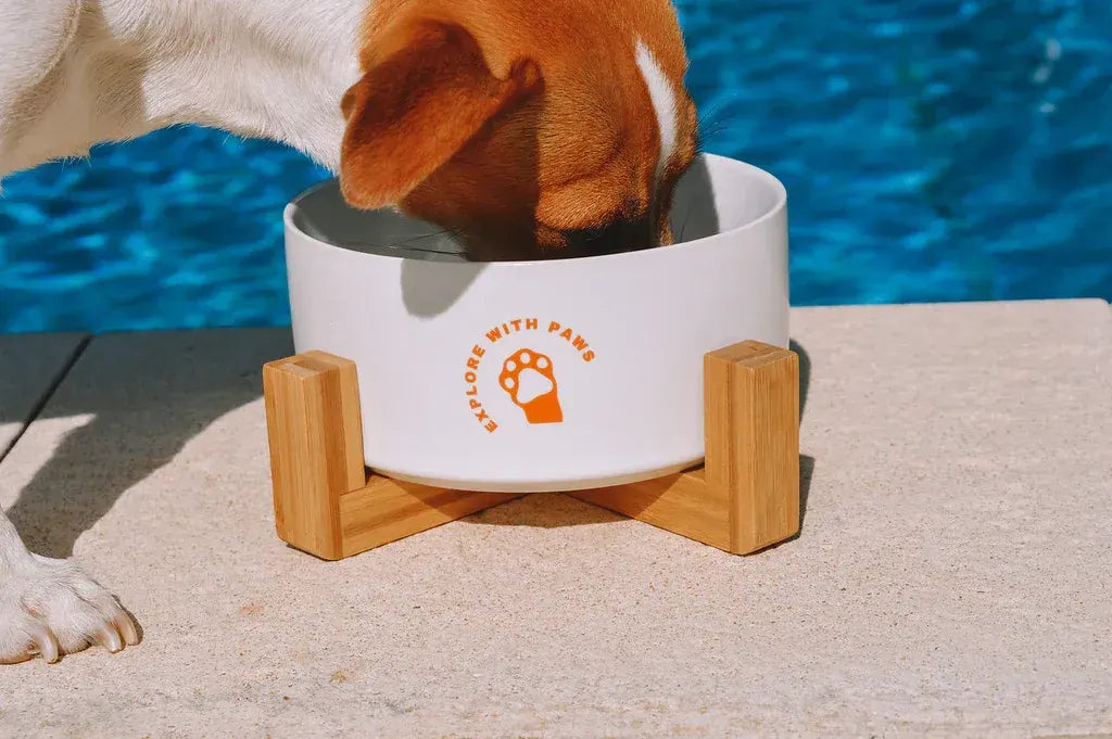 Pet Ceramic Bowl with Wooden Stand  - Image 2