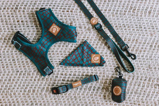 Dog Accessories Bundle Packaged