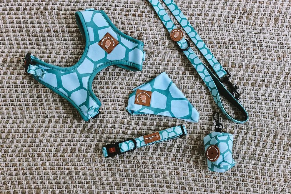 Dog Accessories Bundle Packaged