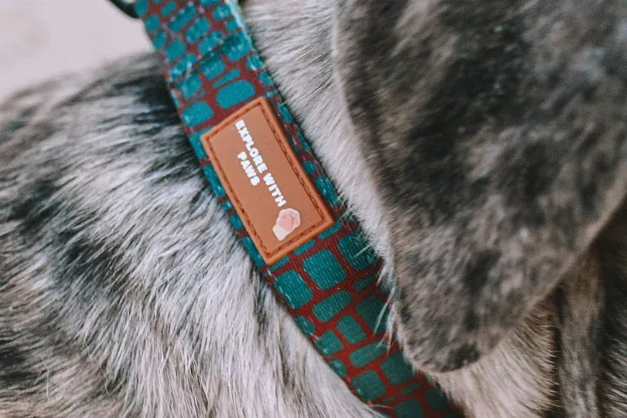 Designer Dog Collars  - Image 2