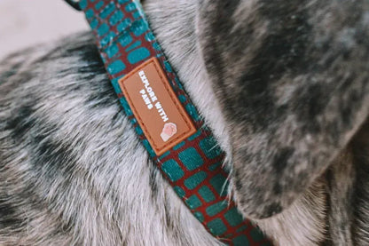 Designer Dog Collars  - Image 2