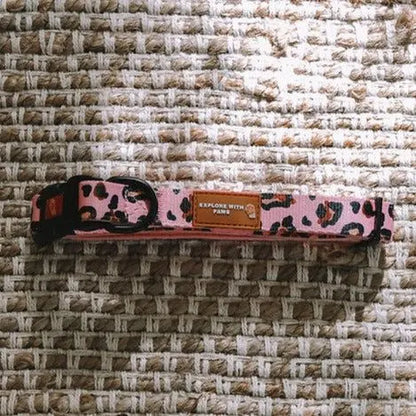 Designer Dog Collars