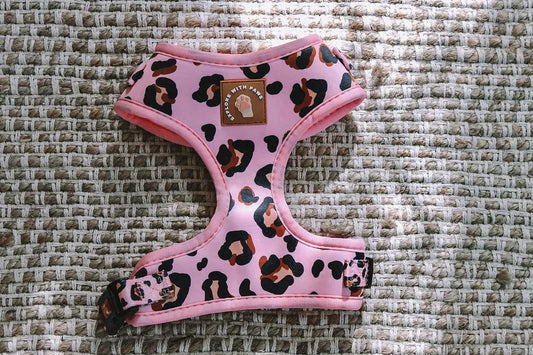 Designer Dog Harness