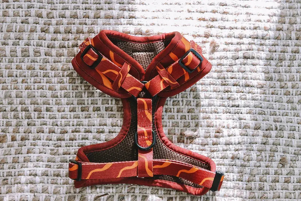 Designer Dog Harness  - Image 2
