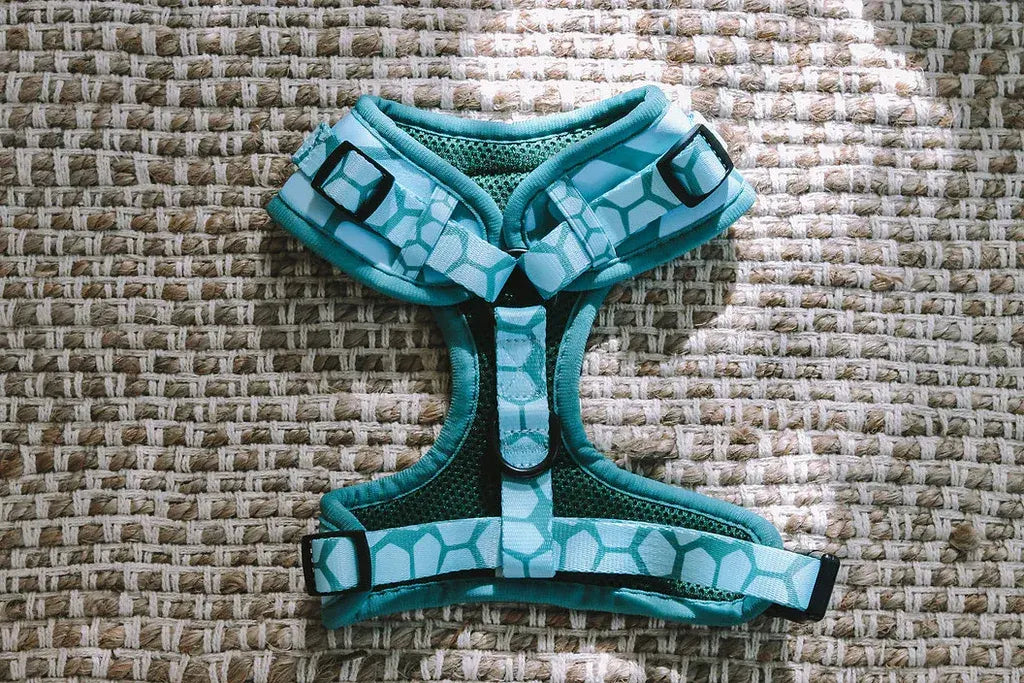 Designer Dog Harness  - Image 2