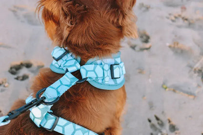 Designer Dog Harness  - Image 3