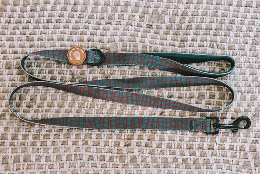 Designer Dog Leads