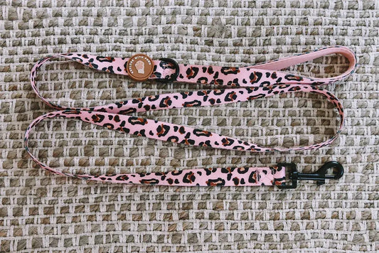 Designer Dog Leads