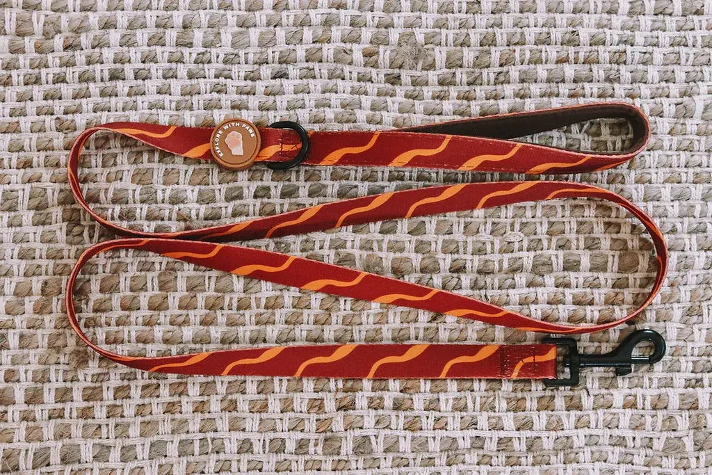 Designer Dog Leads