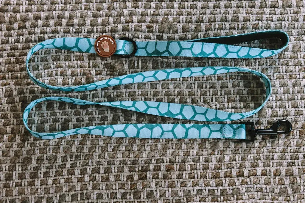 Designer Dog Leads