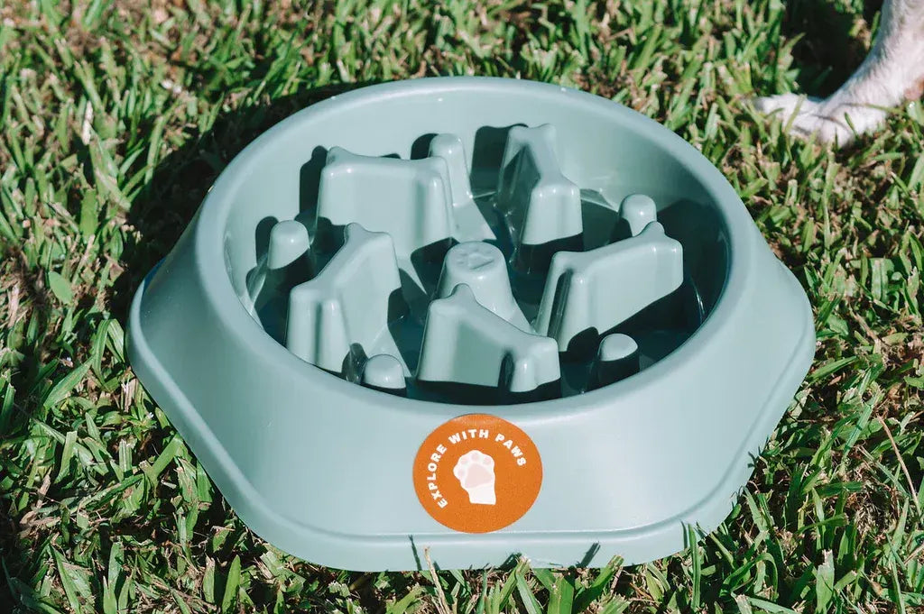 Pet Slow Feeder Bowl