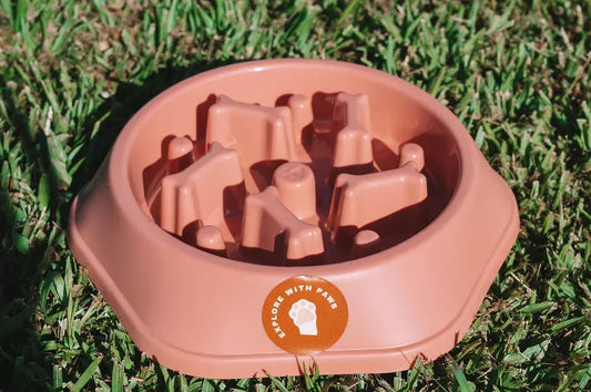 Pet Slow Feeder Bowl