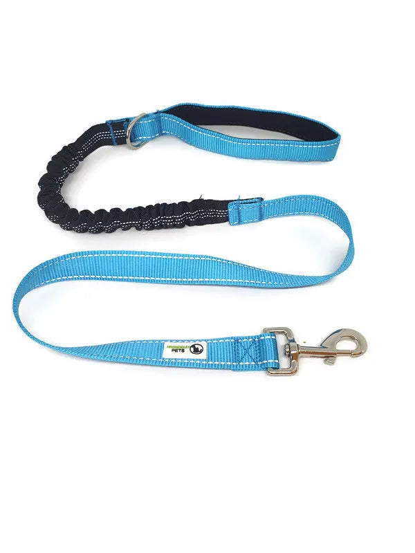 Bungee Dog Lead Nylon w/Reflective Stitching - Moondidley Pets Light Blue