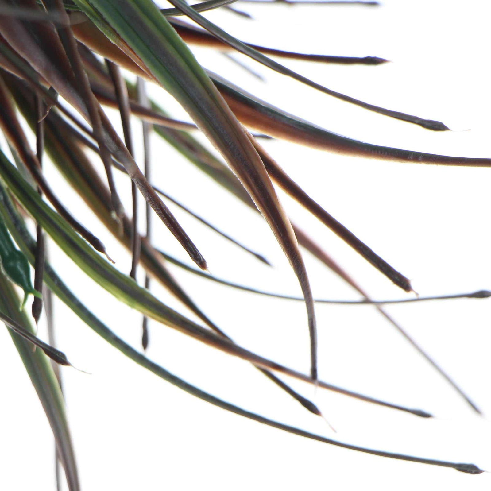 Artificial Brown Tipped Grass Plant UV Resistant 35cm - Image 3