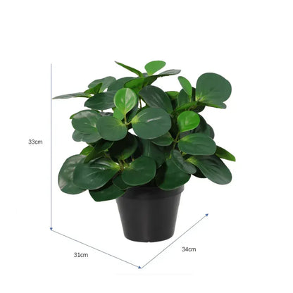 Potted Artificial Peperomia 34cm - Image 5