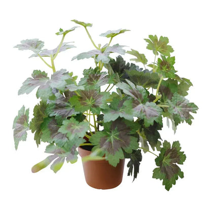 Potted Artificial Grape Leaf Plant 33cm - Image 3