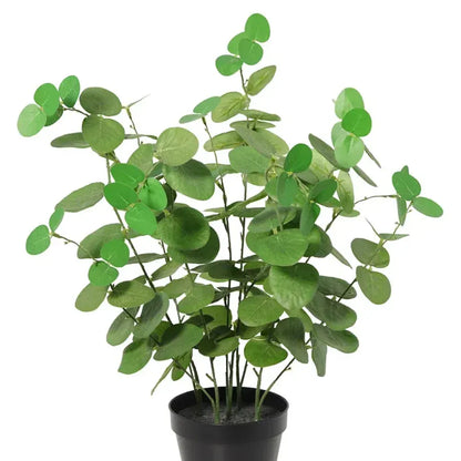 Potted Artificial Eucalyptus 48cm - Image 4