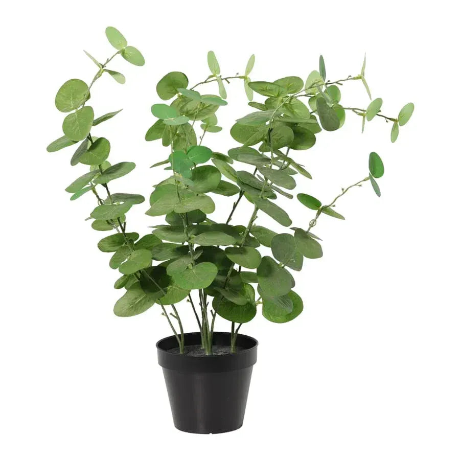 Potted Artificial Eucalyptus 48cm - Image 6