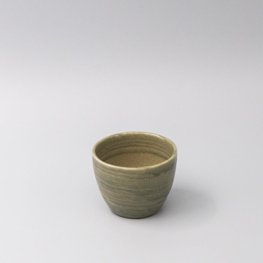 Mug 250ml Washed Fern