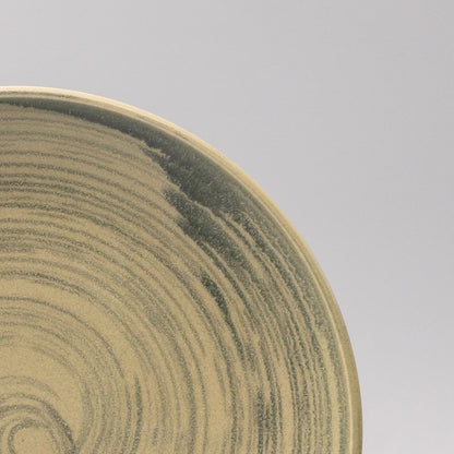 Dinner Plate 26cm Washed Fern - Image 2