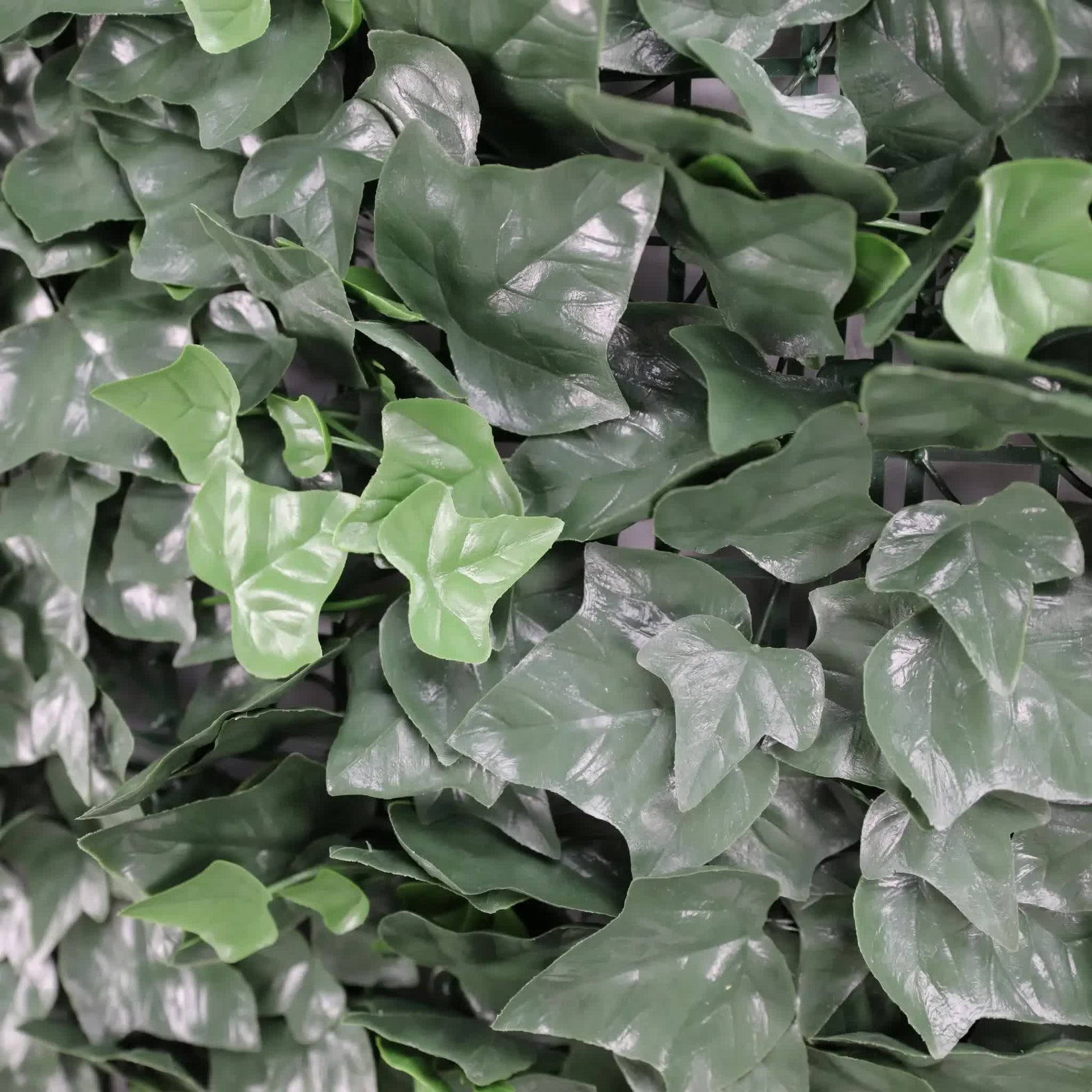 Boston Ivy Leaf Screen Green Wall Panel UV Resistant 1m x 1m - Image 3