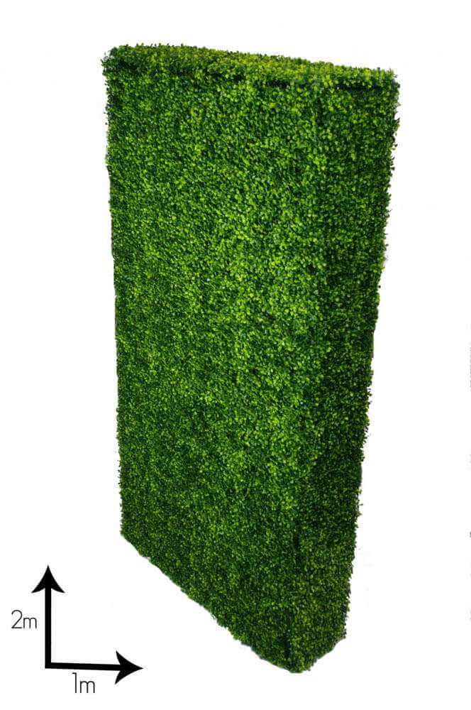 Large Portable Mixed Boxwood Hedge UV Resistant 100cm Long x 200cm High - Image 3