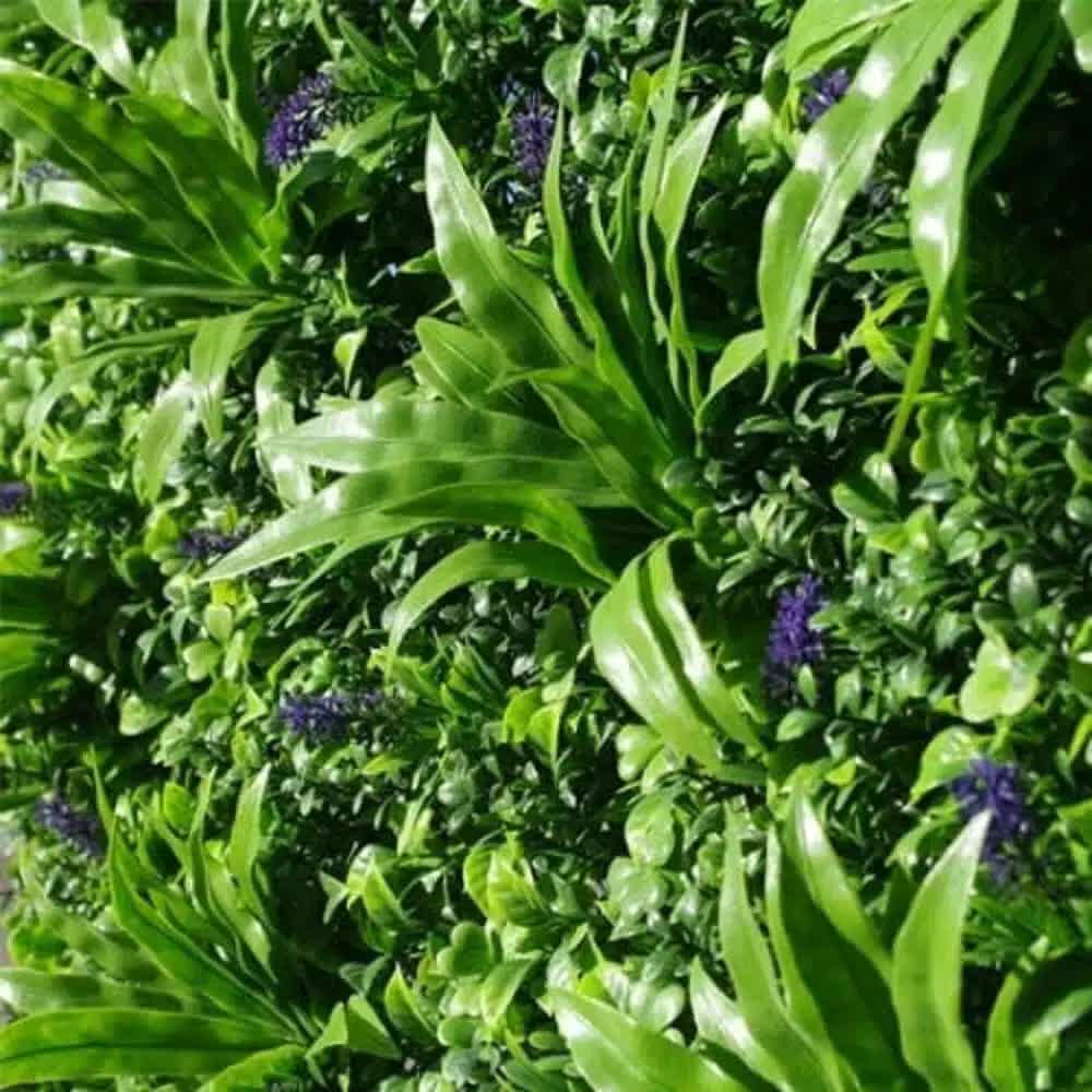 Lavandula Vertical Garden / Green Wall UV Resistant SAMPLE - Image 4