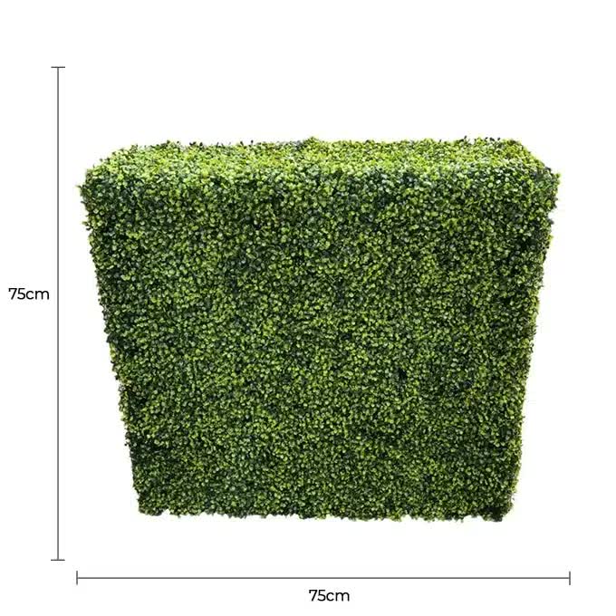 Mixed Boxwood Hedge UV Resistant 75cm Long x 75cm High - Image 2