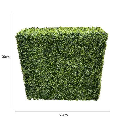 Mixed Boxwood Hedge UV Resistant 75cm Long x 75cm High - Image 2