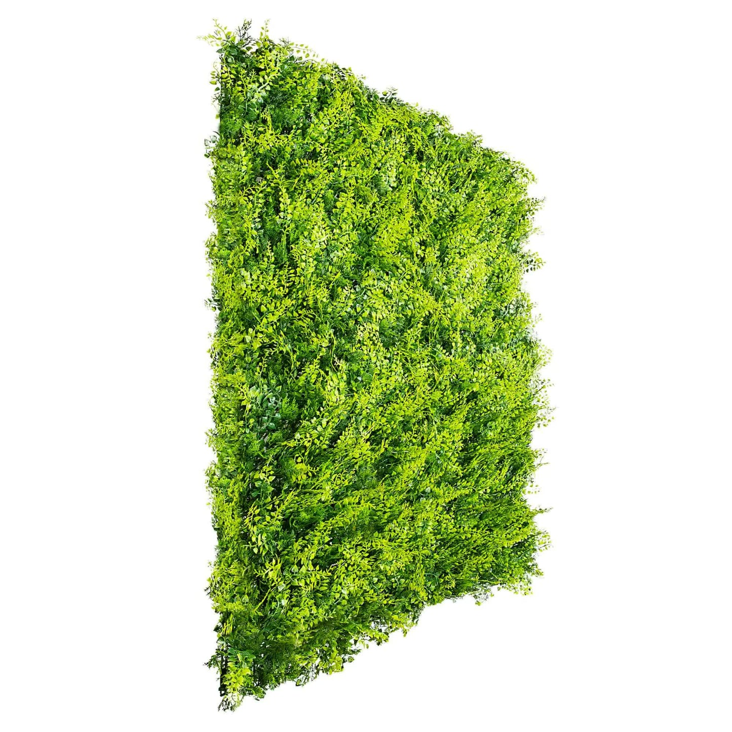 Mediterranean Fern Vertical Garden / Green Wall UV Resistant SAMPLE - Image 3