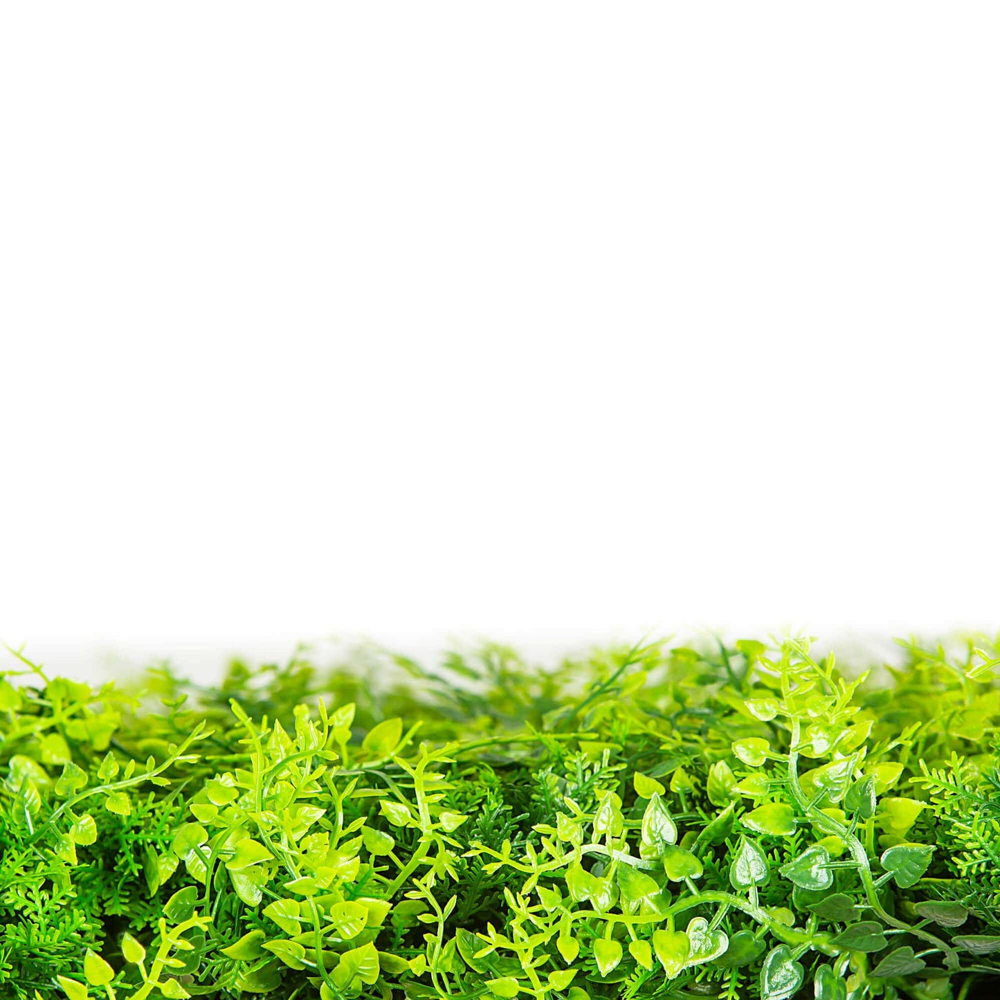 Mediterranean Fern Vertical Garden / Green Wall UV Resistant SAMPLE - Image 4