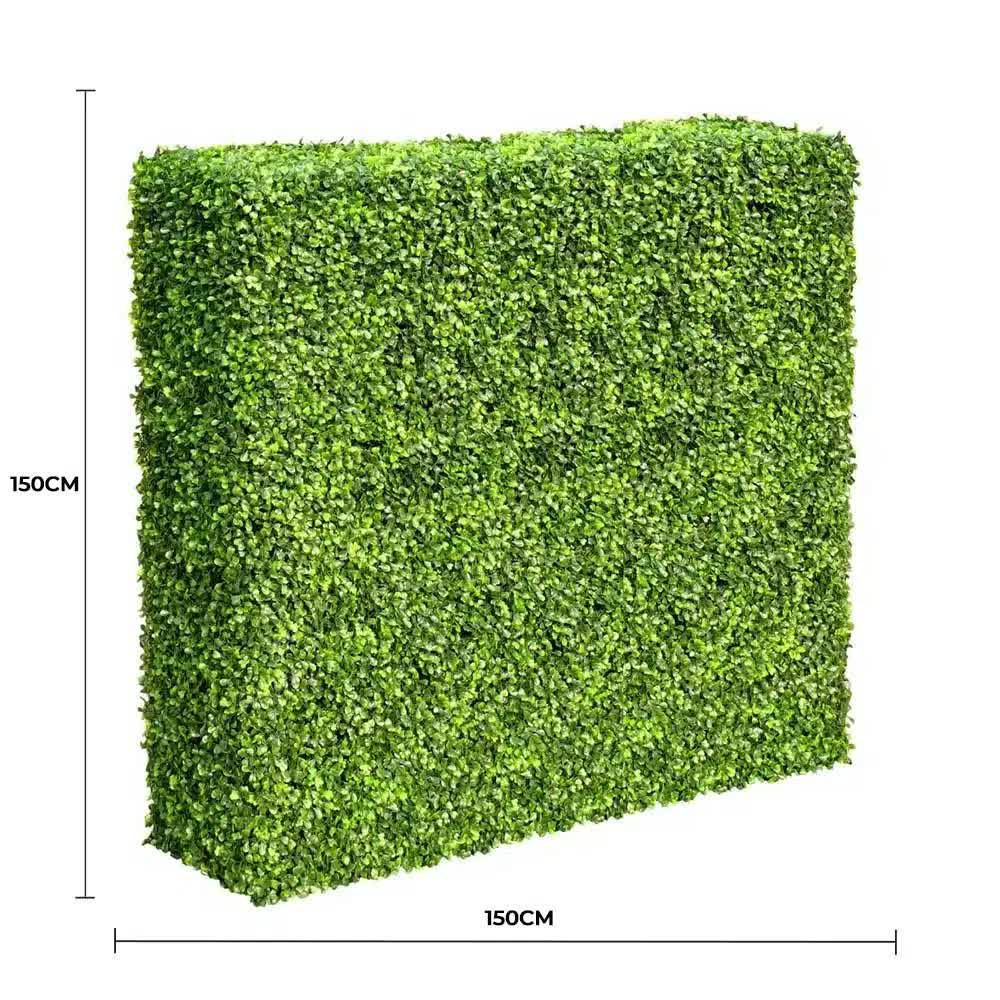 Large Portable Mixed Boxwood Hedge 1.5m by 1.5m UV Resistant - Image 2
