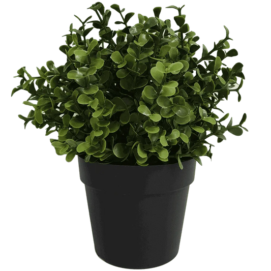 Small Potted Artificial Buxus Plant UV Resistant 20cm
