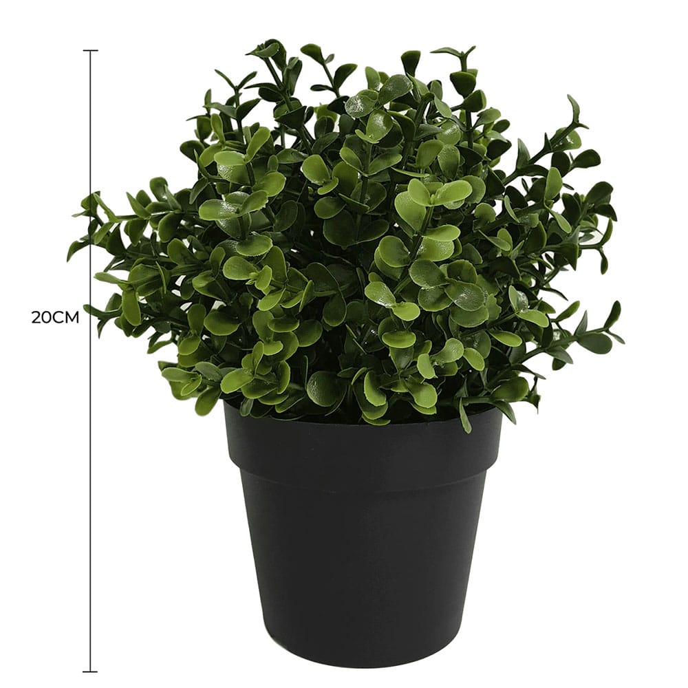 Small Potted Artificial Buxus Plant UV Resistant 20cm - Image 2