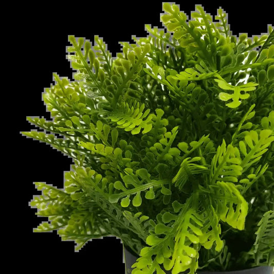 Small Potted Artificial Mimosa Fern UV Resistant 20cm - Image 3
