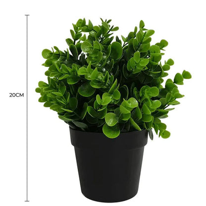 Small Potted Artificial Peperomia Plant UV Resistant 20cm - Image 2